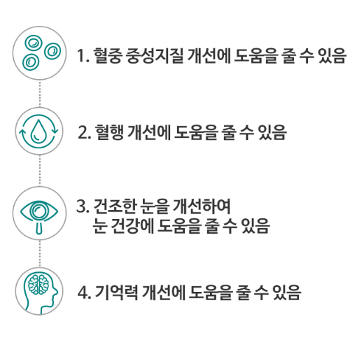 오메가3-건강-기능성-설명