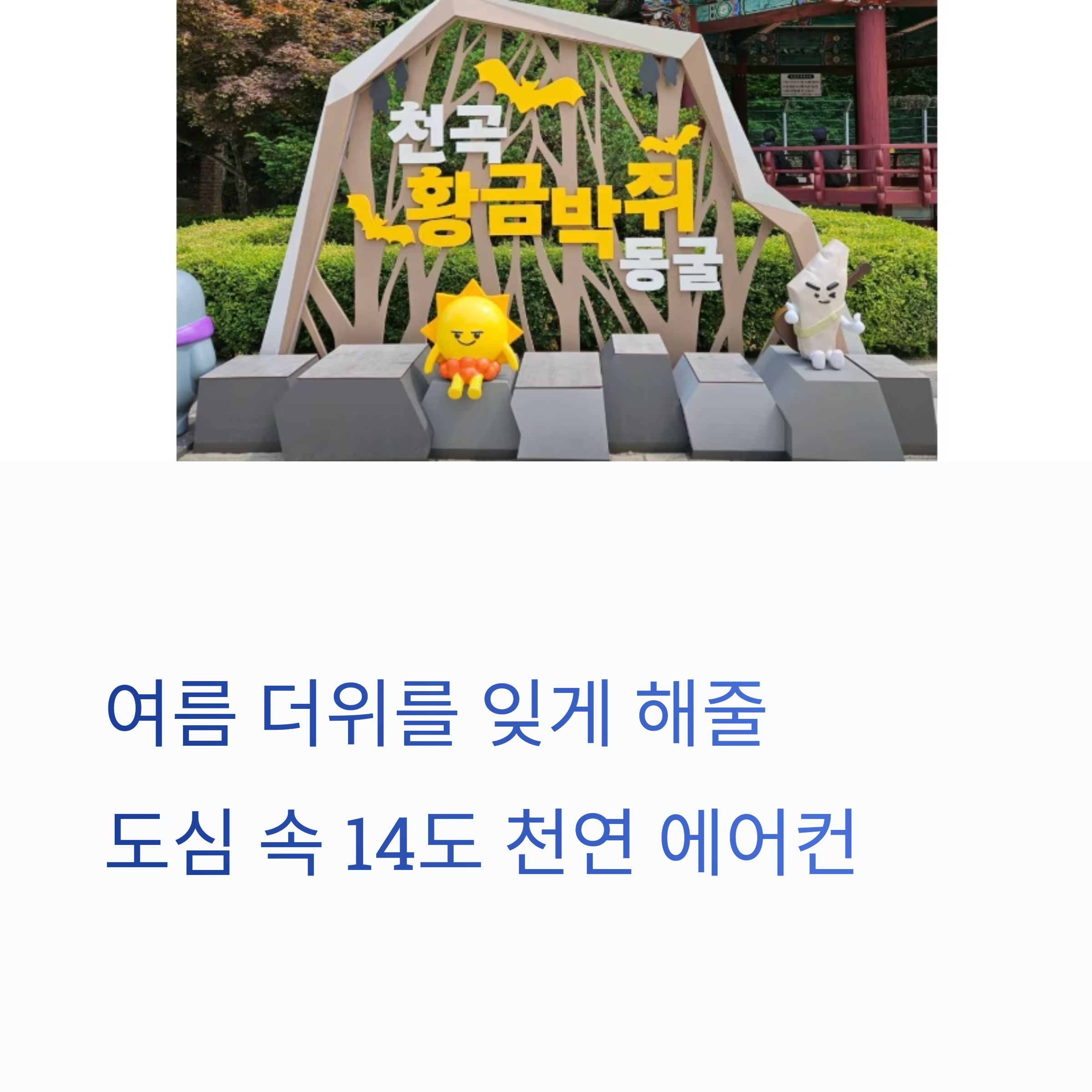 여름 더위를 잊게 해줄 도심 속 14도 천연 에어컨