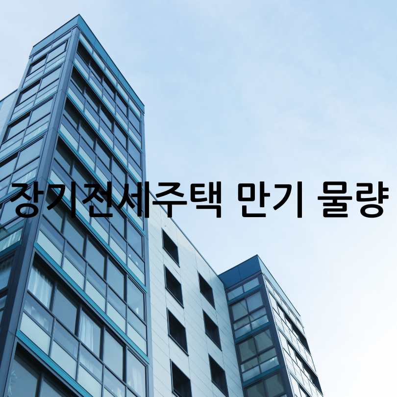 서울시 미리 내집