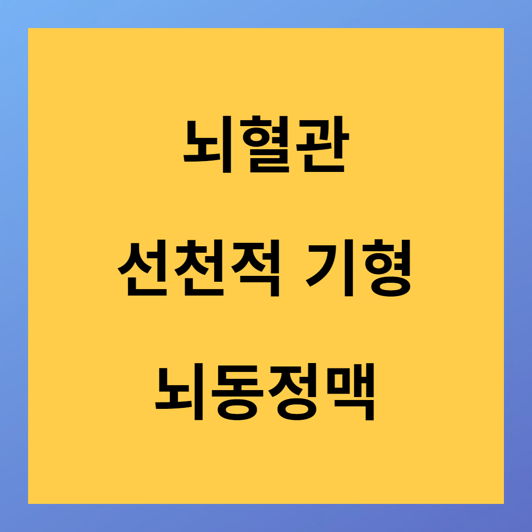 뇌혈관 선천적인 기형 뇌동정맥