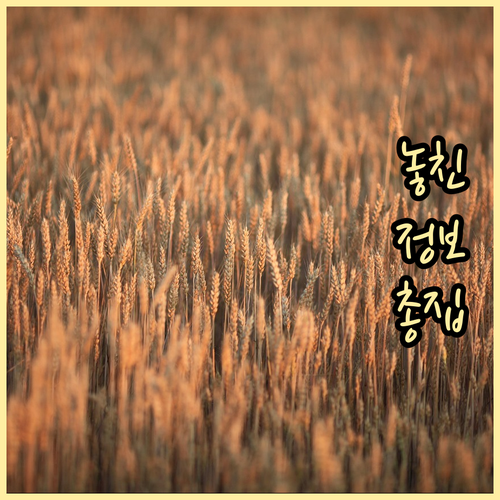 이것 모르면 과태료! 구의동 쓰레기 ..