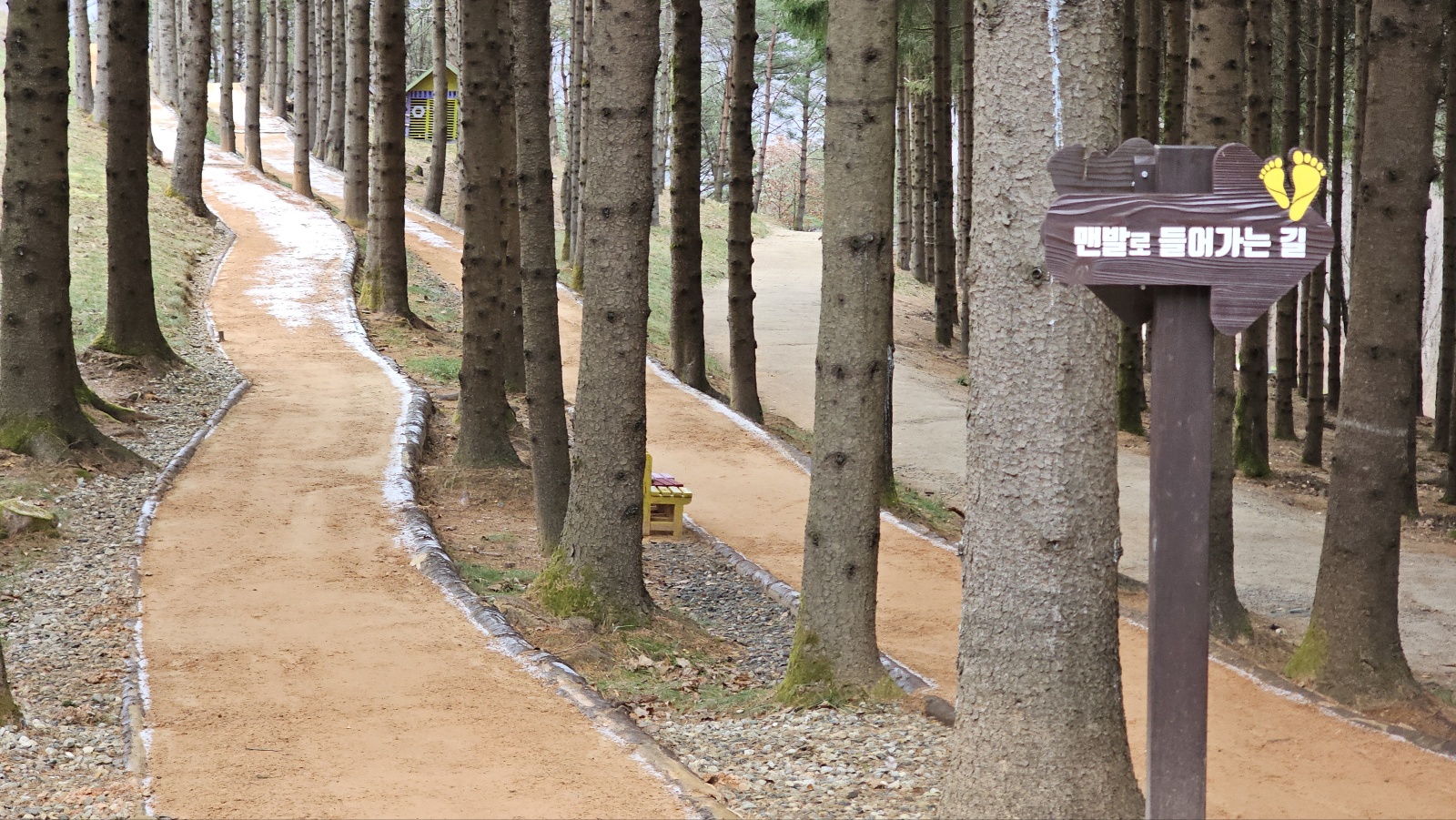 [24.11월] 아이와 평창 #1 - 모나 용평리조트 애니포레🏔️