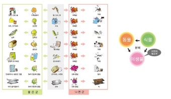 EM을 활용한 음식물 쓰레기 퇴비화 방법