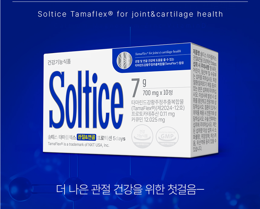 솔티스 타마플렉스