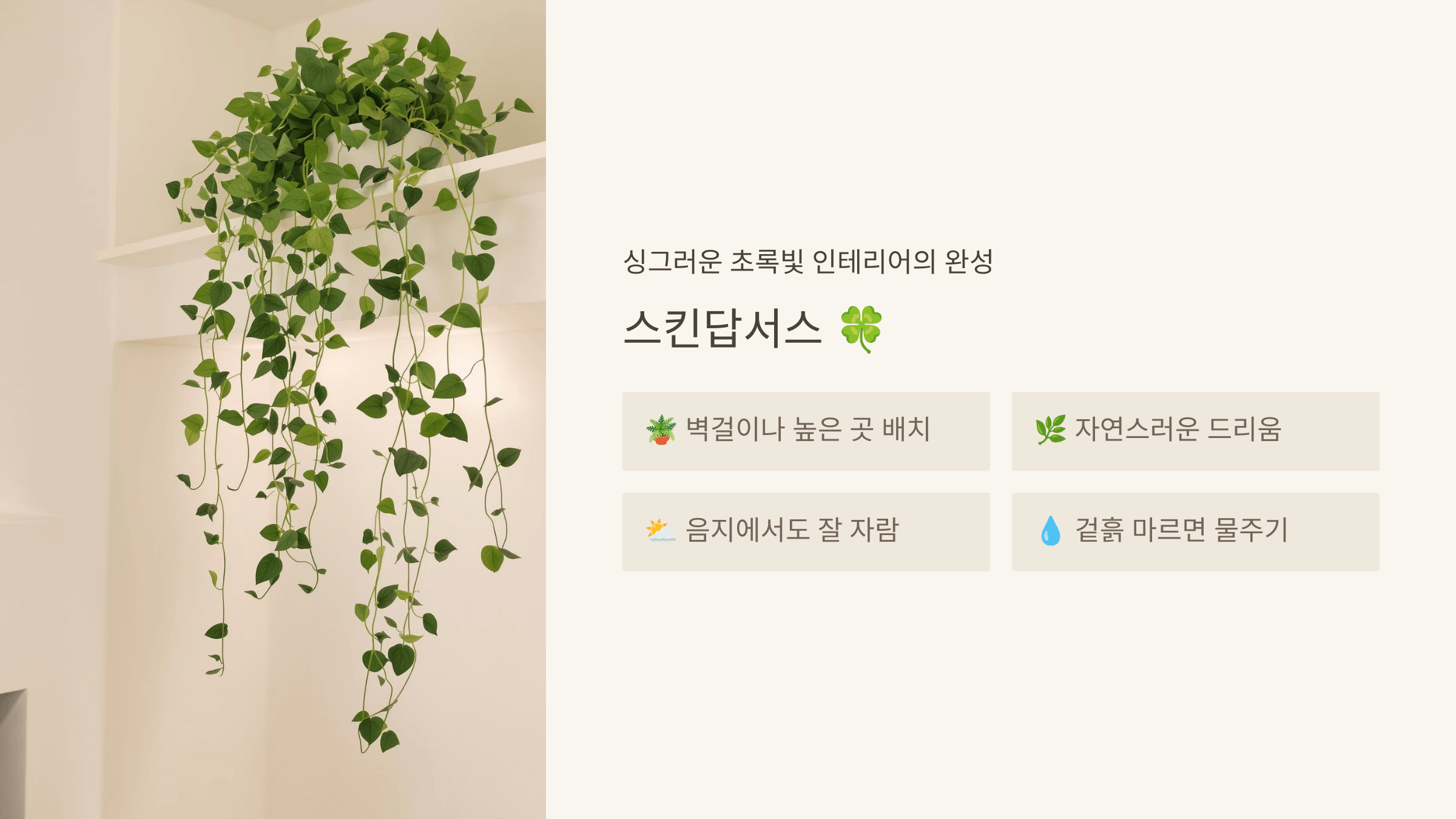 스킨답서스
