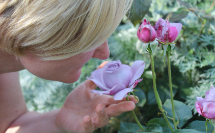 마음이 복잡할 땐 &lsquo;향&rsquo;부터 바꿔보세요 🌸