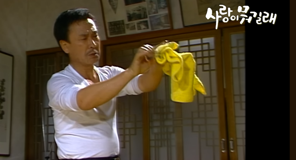 드라마 〈사랑이 뭐길래〉에서 보여준 &lsquo;대발이 아버지&rsquo; 역