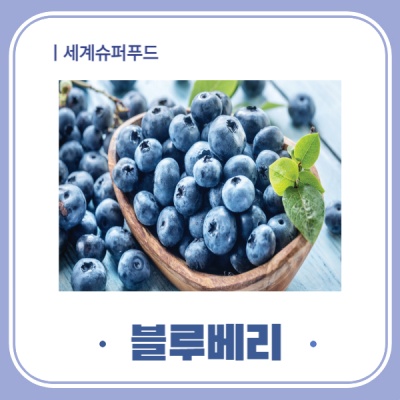 세계10대 슈퍼푸드 블루베리
