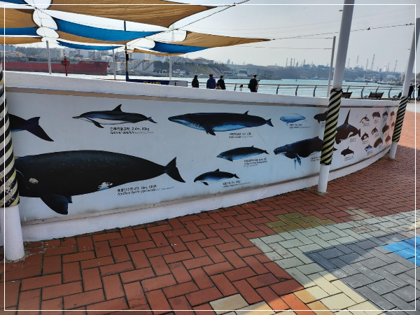 울산 가족여행 아이 놀거리와 고래 탐방 후기 (장생포)
