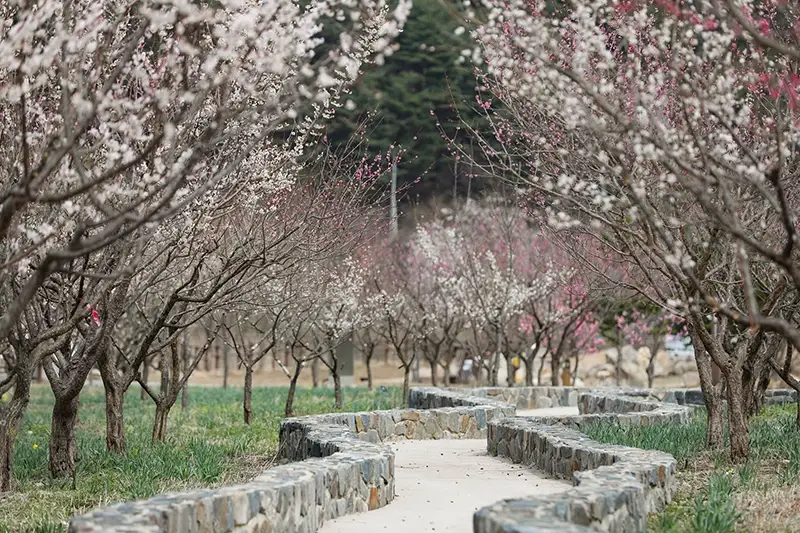 국립백두대간수목원-입장료-무료입장-트램-호랑이-운영시간