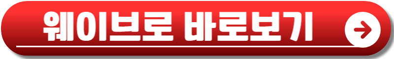 틈만나면 시즌2