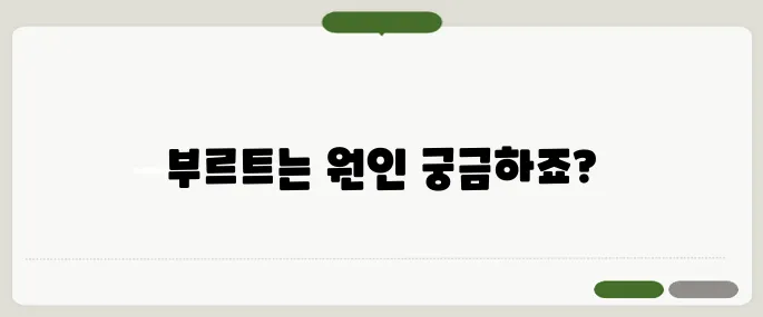 입술이 부르트는 이유 면역 저하, 영양 부족이 원인일 수 있어요
