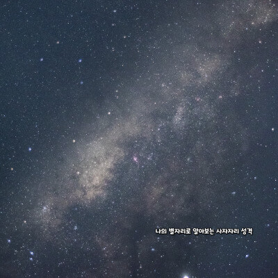 나의 별자리로 알아보는 사자자리 성격