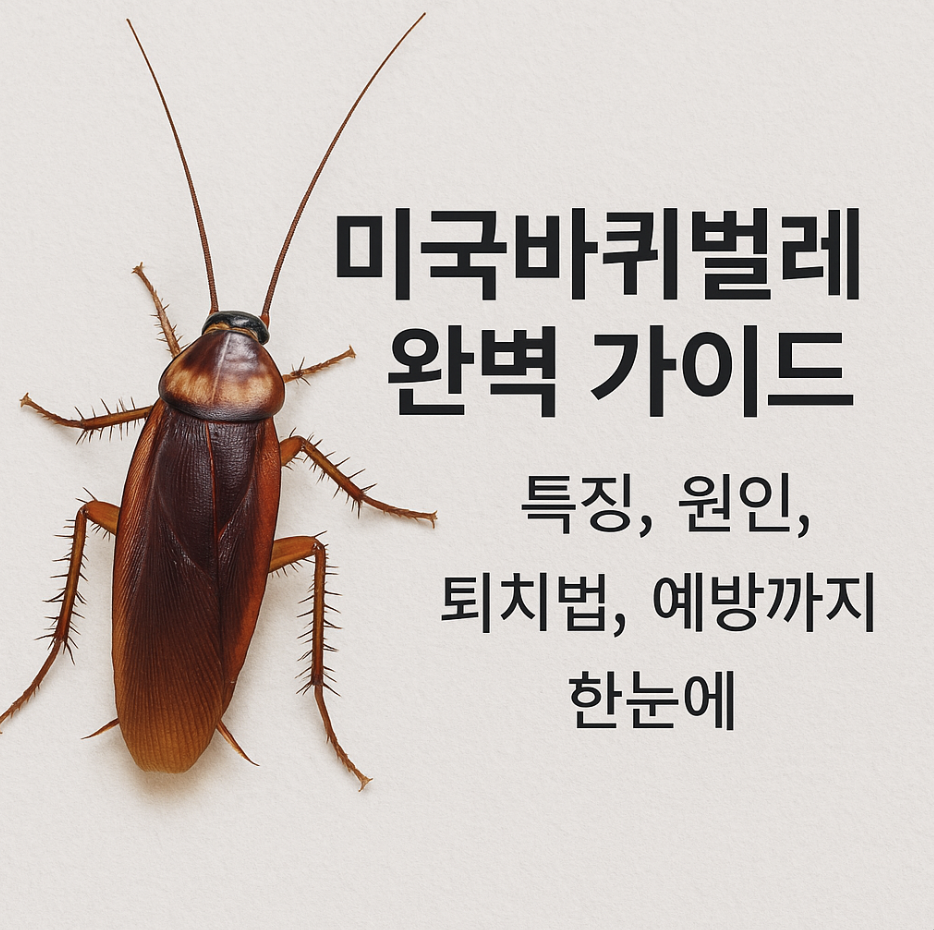 미국바퀴벌레 완벽 가이드 – 특징, 원인, 퇴치법, 예방까지 한눈에