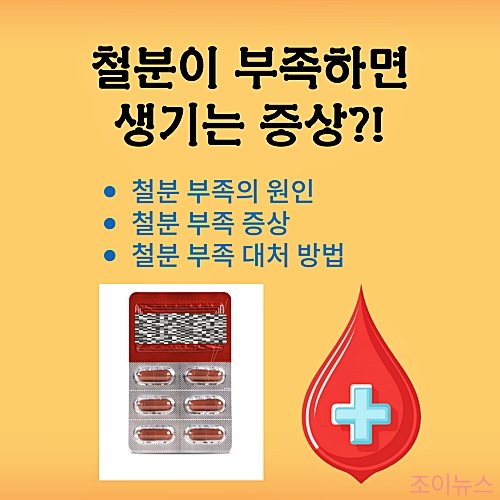 철분이 부족하면 생기는 증상과 그 대처법