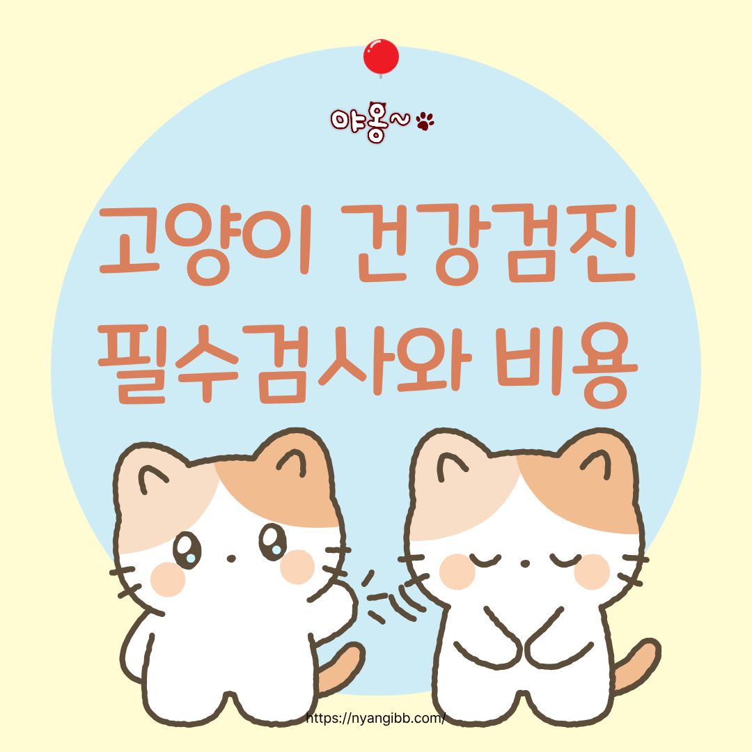 고양이 건강검진 필수검사와 비용 관련 사진