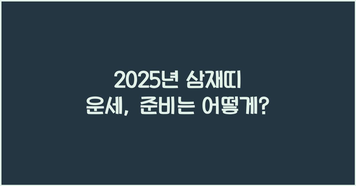2025년 삼재띠