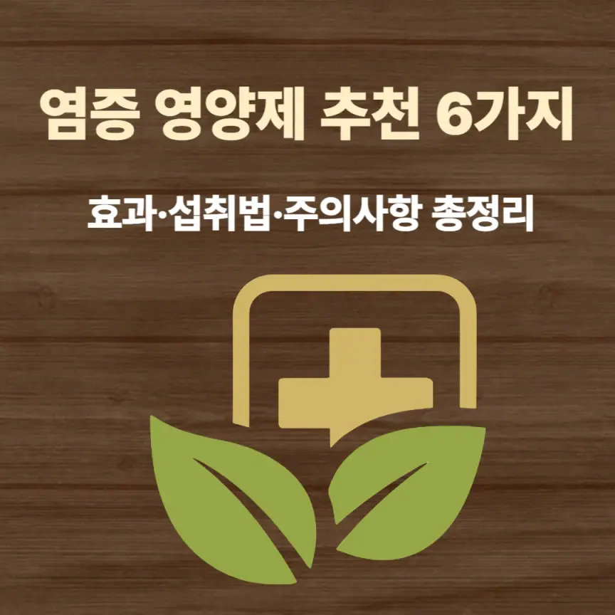 염증 영양제 추천 6가지｜효과·섭취법·주의사항 총정리