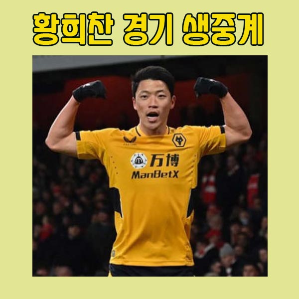 황희찬-실시간-생중계