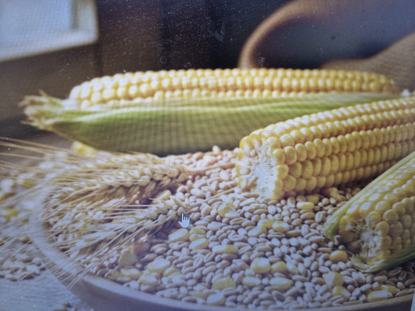 소양인 수음체질 건강관리법(소양인 수음체질 ? ,면역력,계절별 건강관리 +음식궁합)