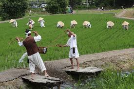 2024 증평 장뜰 들노래 축제 기본일정과 프로그램 정리