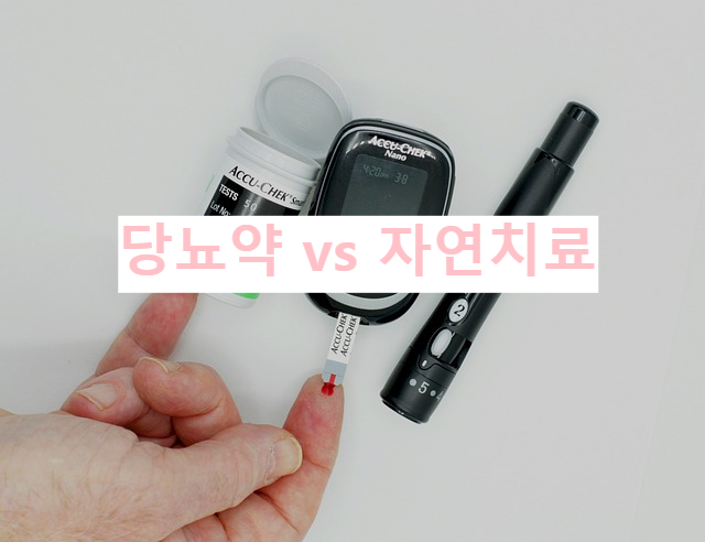 당뇨약 vs 자연치료