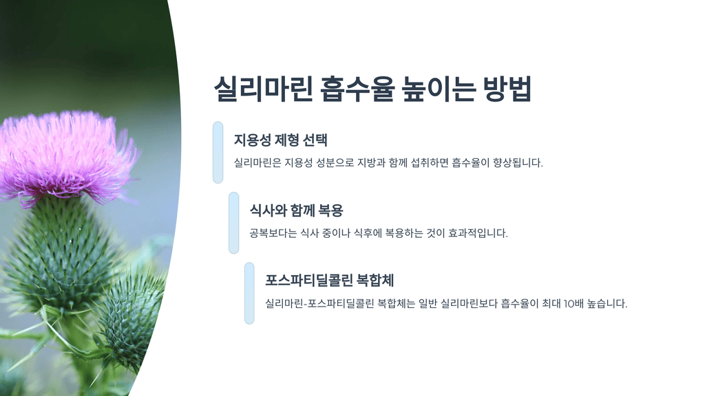 실리마린 흡수율 높이는 방법