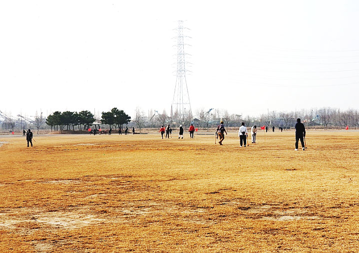 대부도파크골프장 (대부바다향기테마파크 페스티벌파크,
메타세콰이어길 파크골프장)