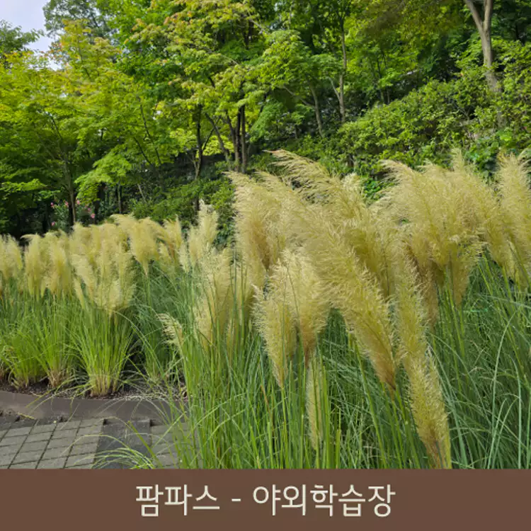 화담숲-예약-꿀팁-홈페이지-예약방법-모노레일-사전예약-화담채-관람-가이드-2024-단풍축제-일정-설명-이미지