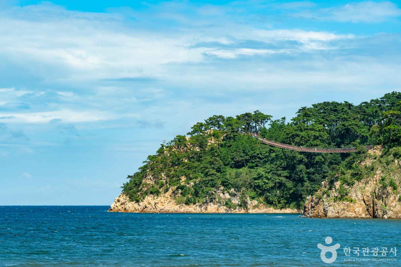 울산 대왕암공원 출렁다리