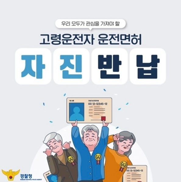 고령자 운전면허 자진반납 지원금