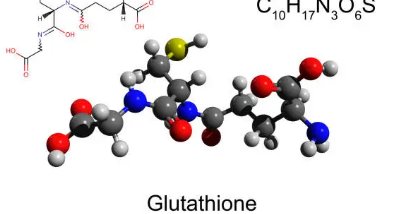 글루타치온 효능
