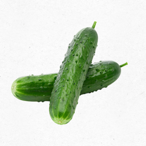 오이 효능 안내