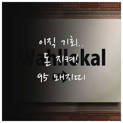 2025년 2월 돼지띠 95년생 운세..