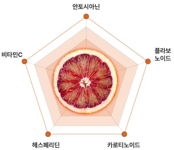 모로오렌지 (출처: Detemination of pigments and antioxidant activites of 'Cara Care Moro Tarocco' Joumal of Asian Agriculture and Biotechnology)
모로오렌지 (출처: Determination of pigments and antioxidant activities of 'Cara Care Moro Tarocco' Journal of Asian Agriculture and Biotechnology)