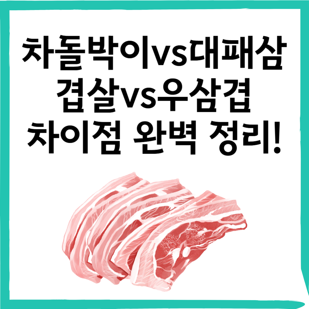 차돌박이 vs 대패삼겹살 vs 우삼겹: 차이점 완벽 정리!