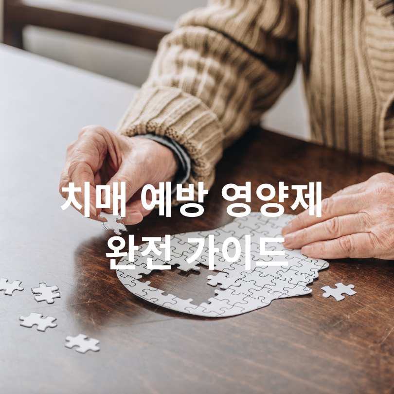 치매 예방 영양제 완전 가이드