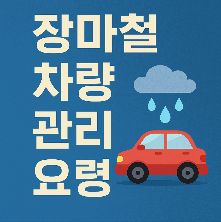 장마철 차량 관리 꿀팁: 안전과 쾌적함 지키기