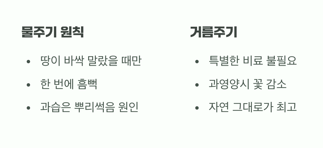 과한 사랑은 금물, 물과 거름주기