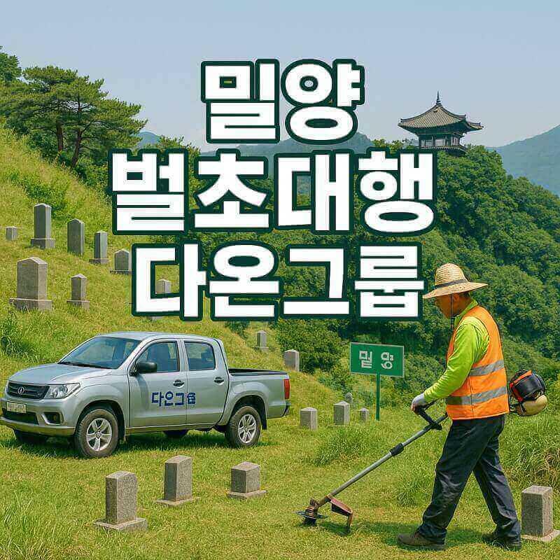 밀양 벌초대행 다온그룹 묘지 관리부터 이장까지 한 번에 관련사진