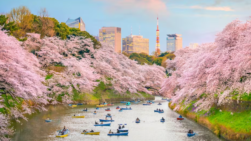 치도리카 후치 공원