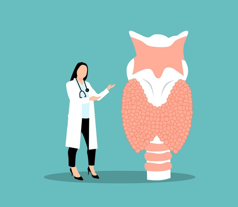 갑상선 검사 관련 이미지