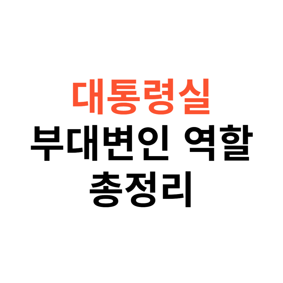 대통령실 부대변인 역할