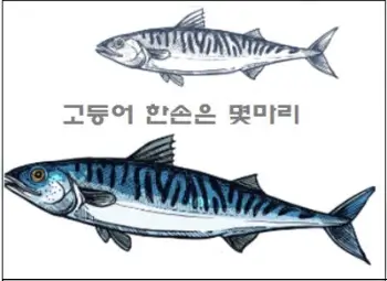 고등어 한손은 몇마리