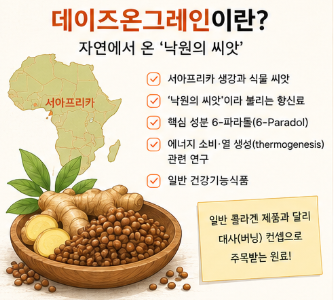 데이즈온그레인-효능-복용법-후기-구매-가격-부작용
