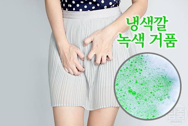 냉색깔 녹색 황색