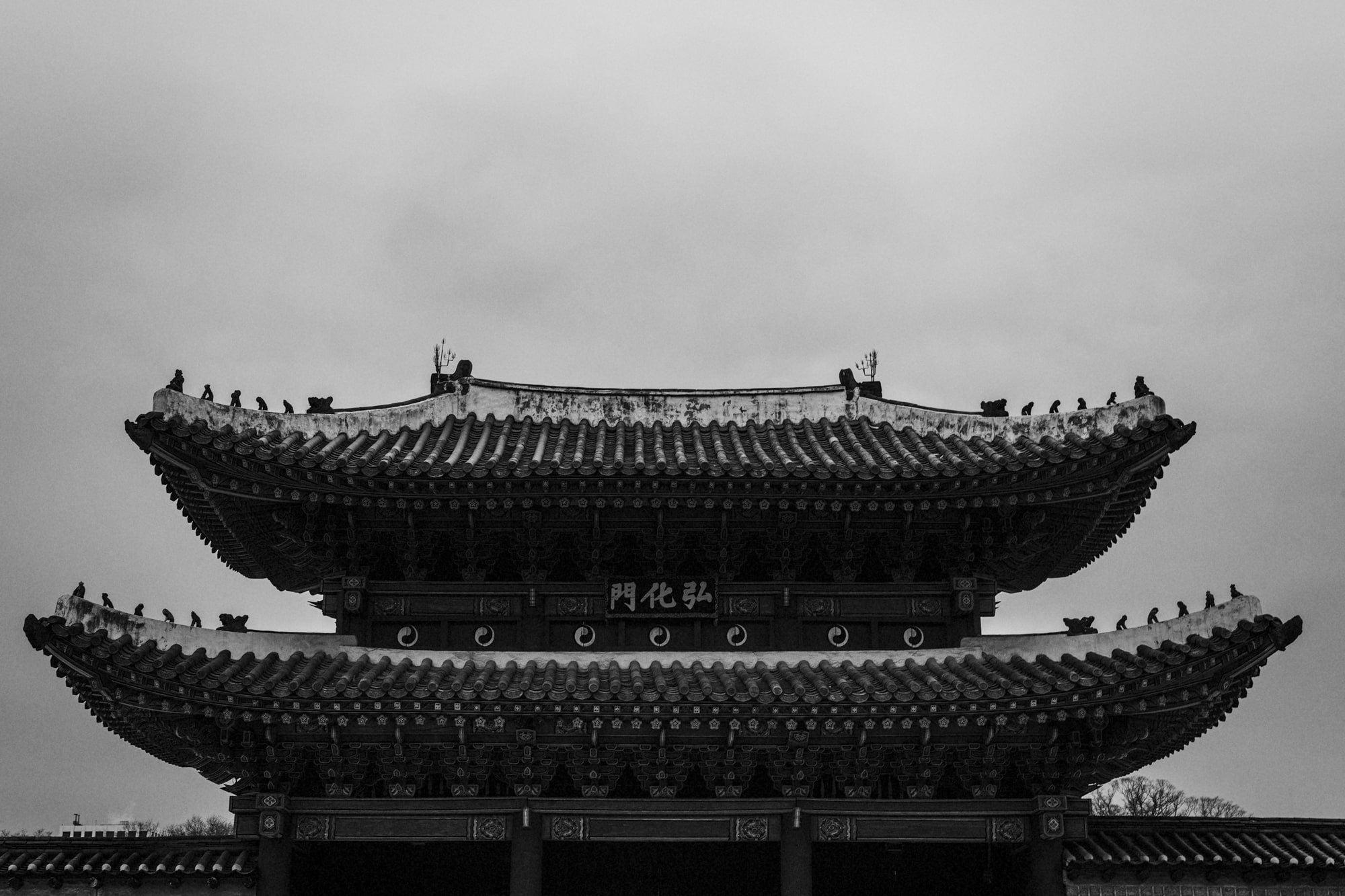 김중만 작가, 광화문