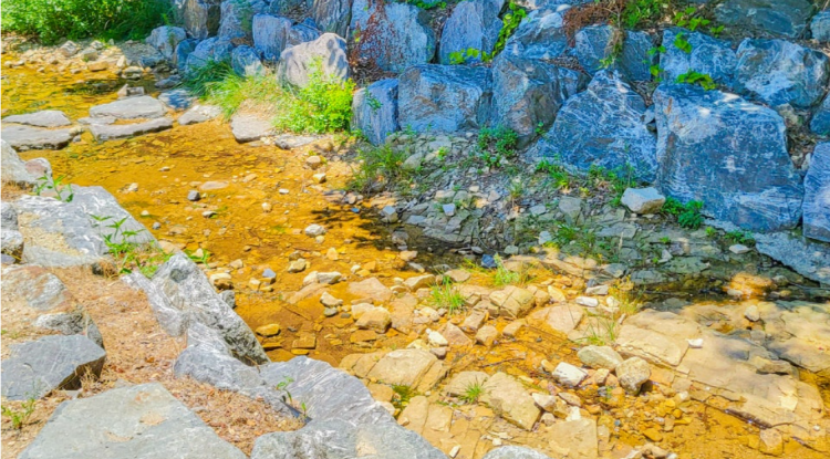 국립대전숲체원