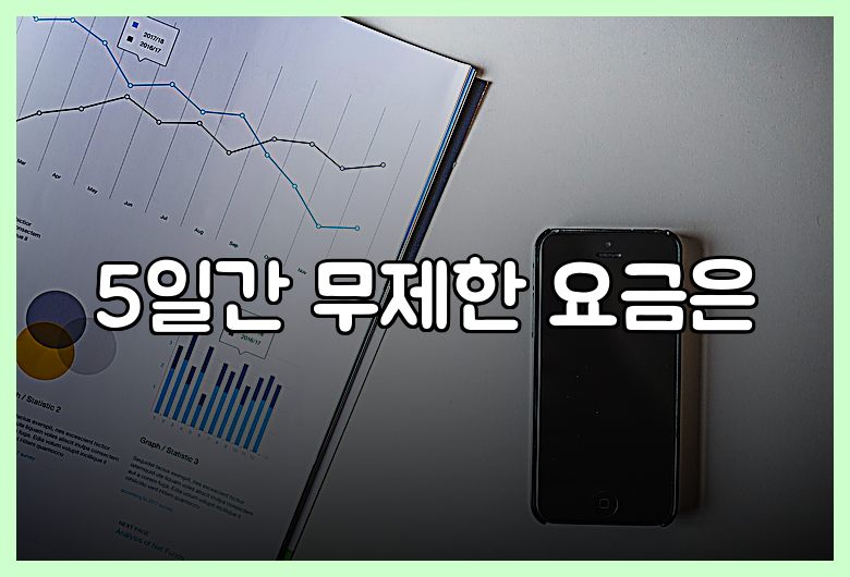 5일간 무제한 요금은