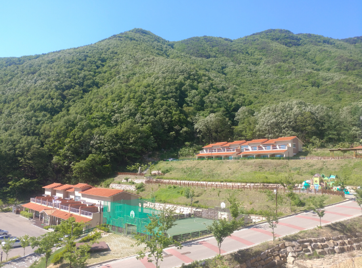 금화자연휴양림